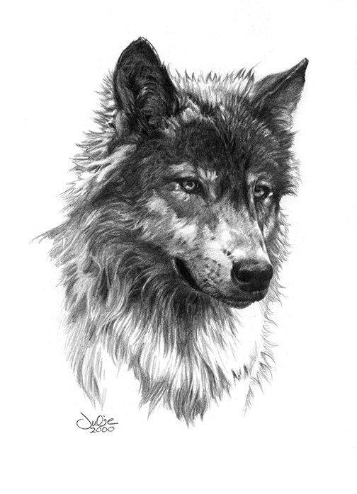 drawings of wolf heads